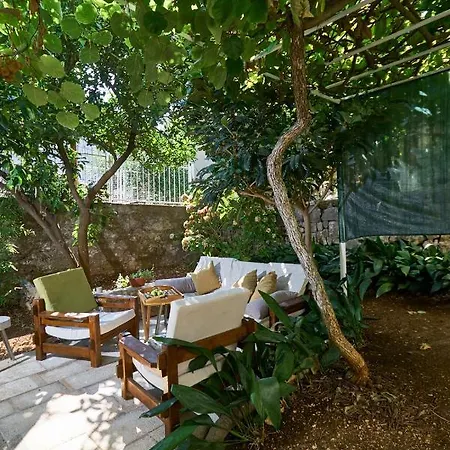 Aspidistra Shadow Dubrovnik Exterior photo
