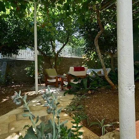 Aspidistra Shadow Dubrovnik Exterior photo