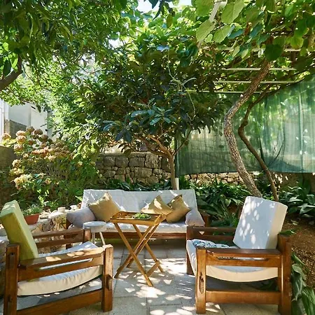Aspidistra Shadow Dubrovnik Exterior photo