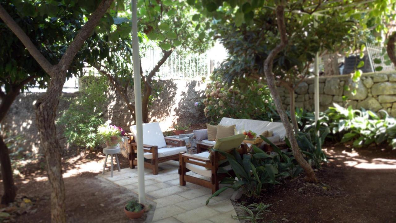 Aspidistra Shadow * Dubrovnik