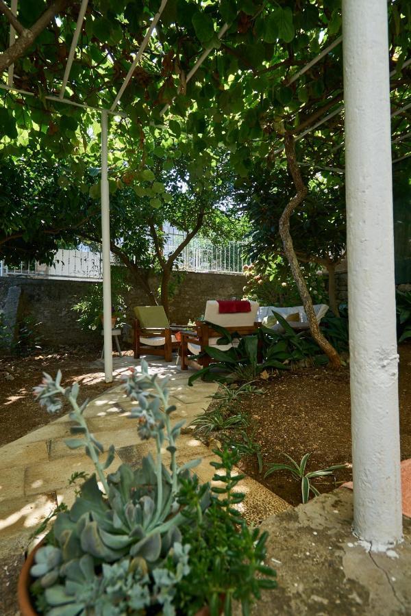 Apartamento Aspidistra Shadow