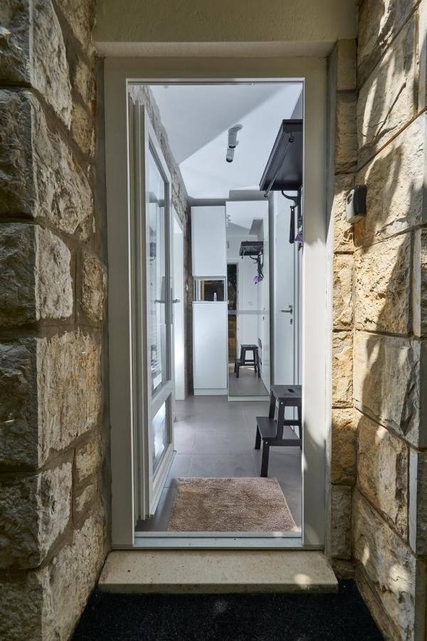 Aspidistra Shadow Apartment *