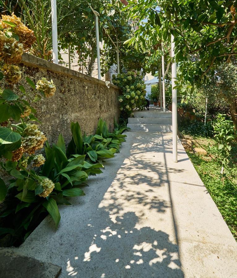 Aspidistra Shadow Apartamento Dubrovnik