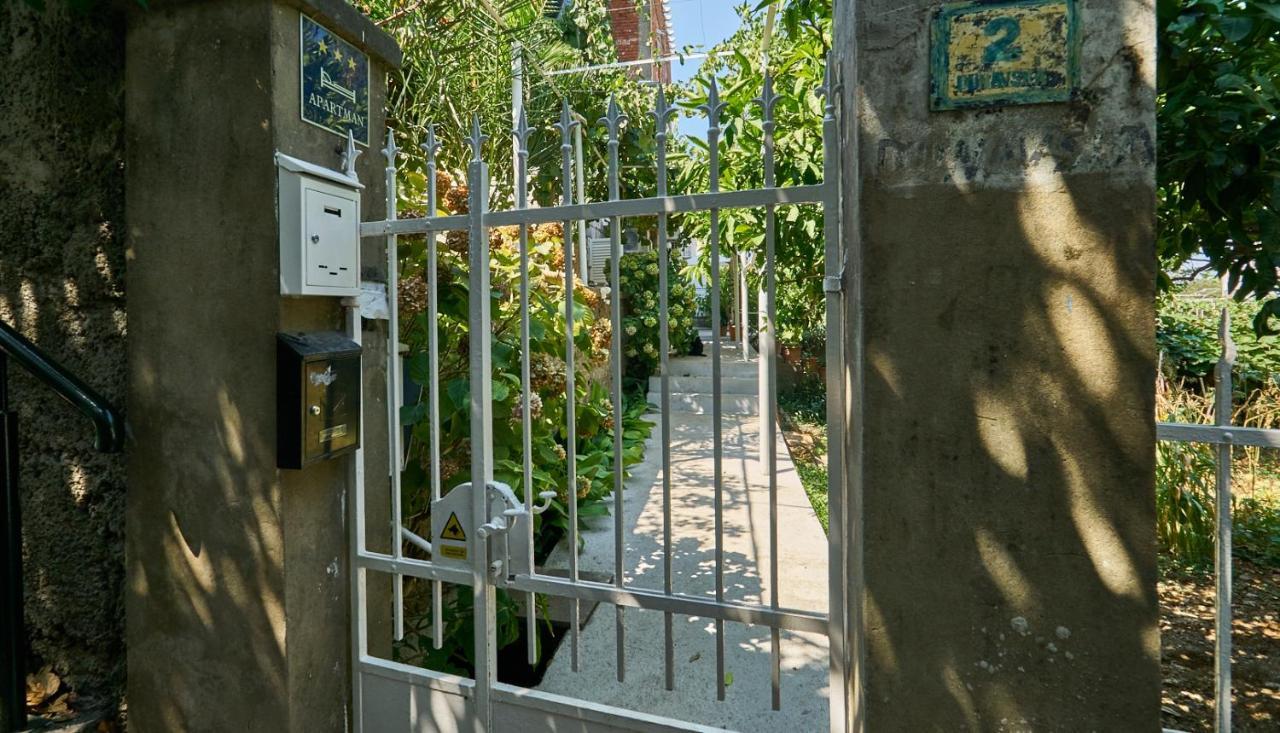 Aspidistra Shadow Apartment Dubrovnik
